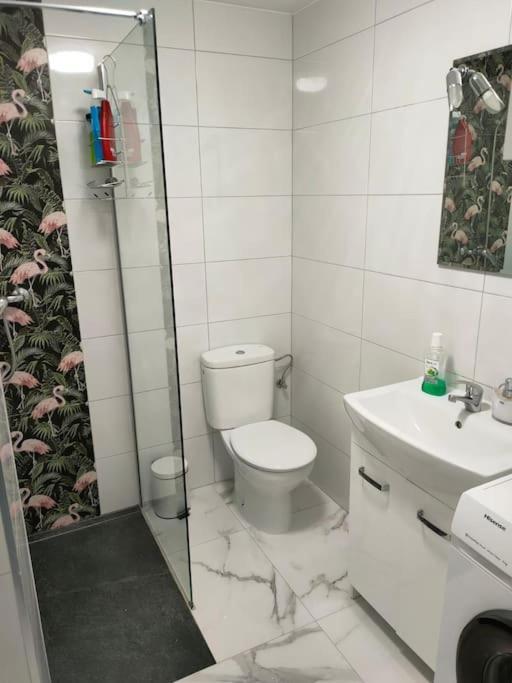 Apartament Flamingo Z Basenem Torrevieja Eksteriør bilde