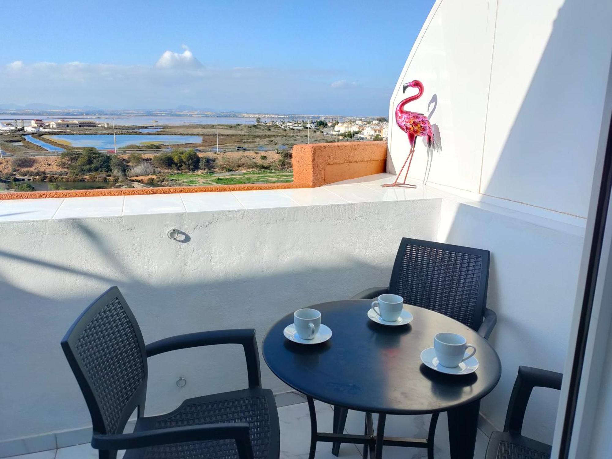 Apartament Flamingo Z Basenem Torrevieja Eksteriør bilde